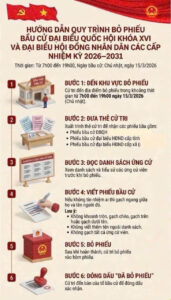 Hướng Dẫn Cử Tri Đi Bầu Cử Đại Biểu HĐND Phường Tân Sơn Hòa Nhiệm Kỳ 2026 – 2031