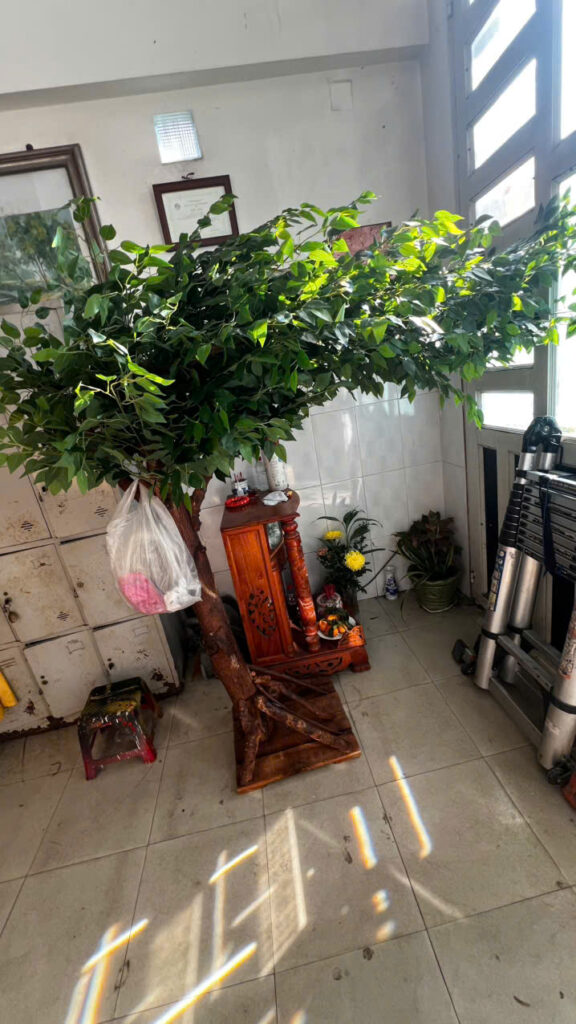 Thi Công Cây Giả Trang Trí Siêu Thị , Giải Pháp Tạo Điểm Nhấn Không Gian Ấn Tượng, TP.HCM 3 z7951111333680 48d531cac25732bf45e53b6696bcc52e