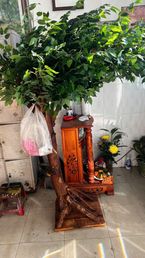 Thi Công Cây Giả Trang Trí Siêu Thị , Giải Pháp Tạo Điểm Nhấn Không Gian Ấn Tượng, TP.HCM 1 z7951111347504 8c76cafd6261e5bea59a55ba20012c03